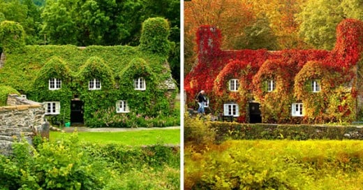 transformaciones otoño el antes y despues