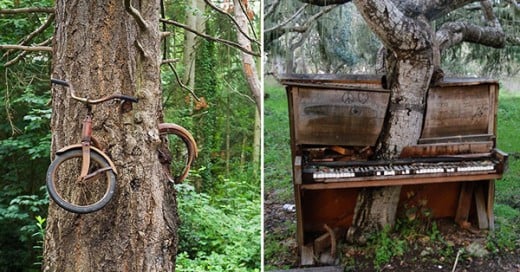 fotos de la naturaleza recuperando lo que es suyo