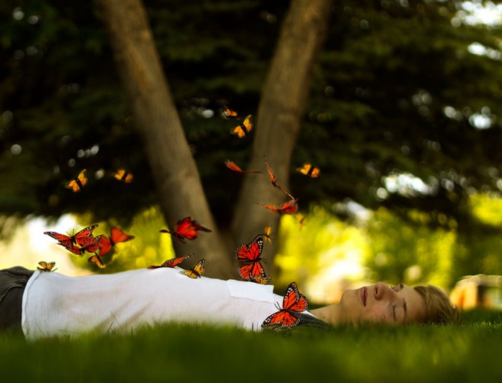 mariposas volando