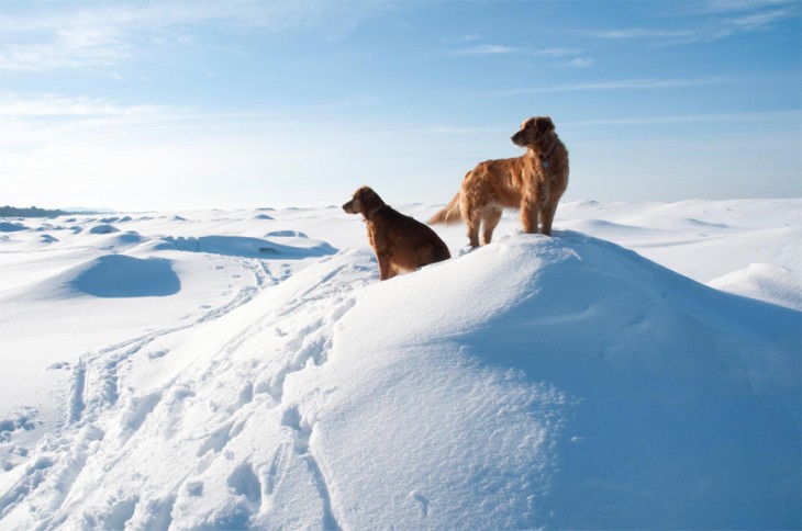 la nieve de michigan