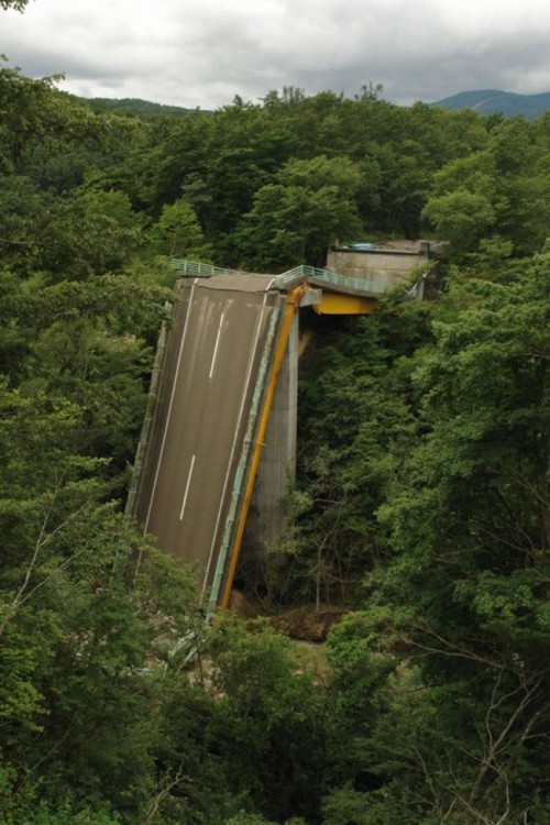 ruta destruida por un bosque