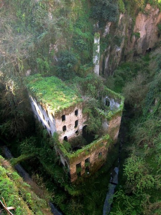 edificio abandonado lleno de plantas