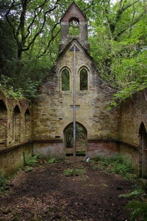 iglesia destruida por la vegetacion