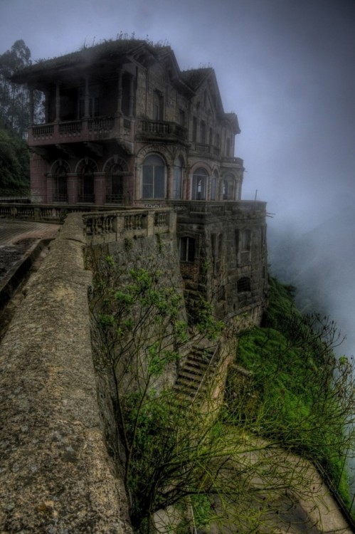 edificio retomado por las plantas