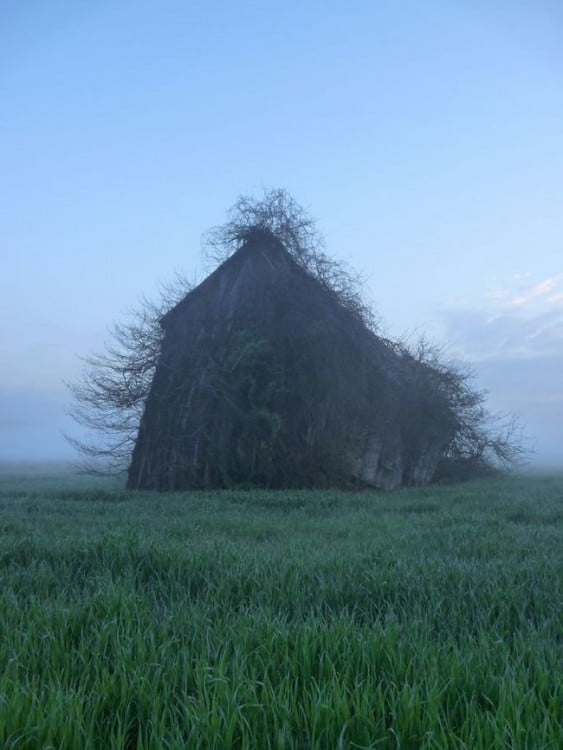 casa retomada por la naturaleza