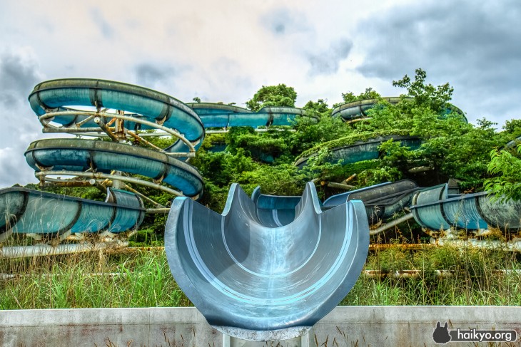 parque acuatico lleno de plantas