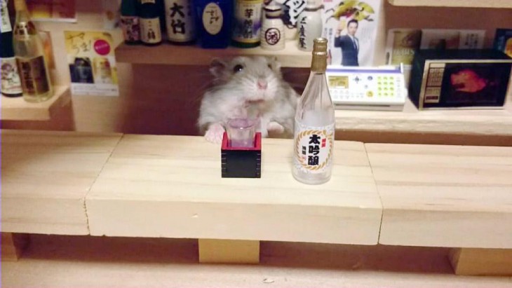 A LOS HAMSTERS LES GUSTA EL SAKE