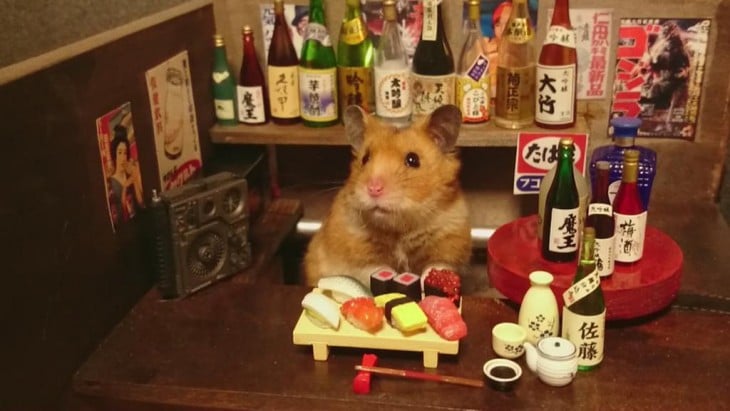 HAMSTER PREPARANDO LA MESA