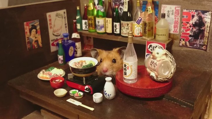 HAMSTER BEBIENDO SAKE CON UNA ENTREDA DE SUSHI