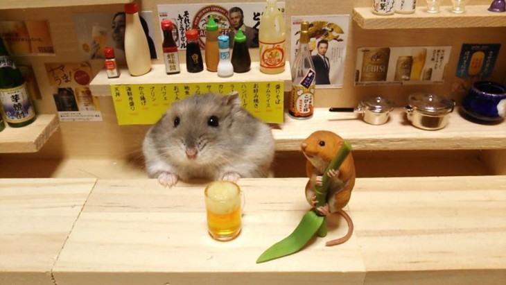 HAMSTER BEBIENDO JUNTO A UN RATON