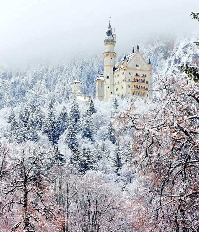 CASTILLO EN LOS ALPES