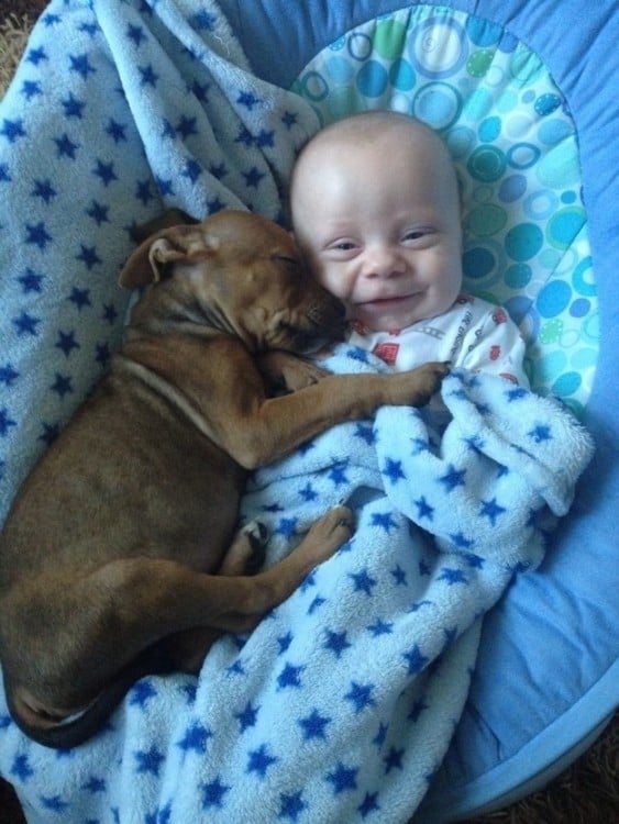 NIÑO CON SU TIERNO PERRITO