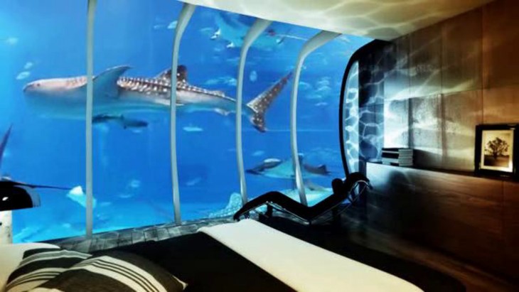 tiburon en la ventana hotel submarino en Zanaibar