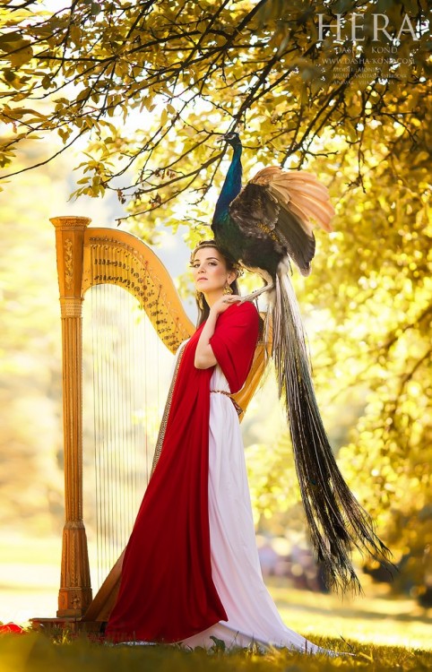 mujer capa roja y pavo real con harpa