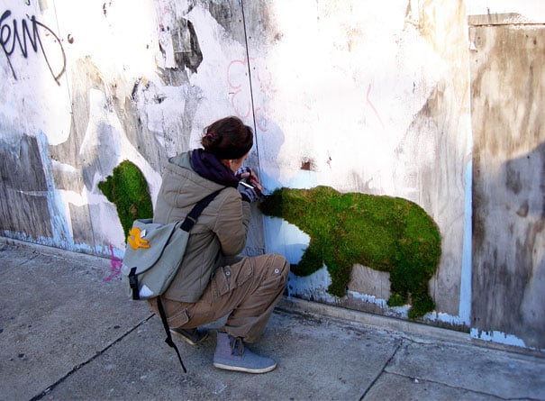 oso realizado con graffiti de musgo