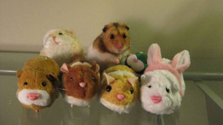 hamster camuflado con peluches de animales