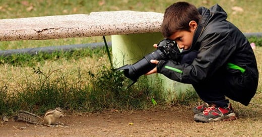 fotografo nino de animales salvajes