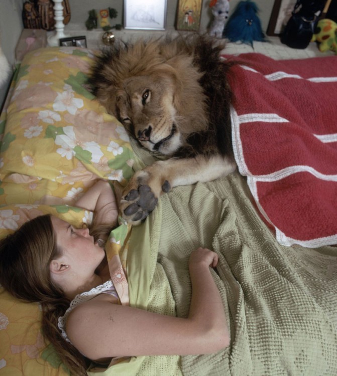 leon acostado en la cama con una persona