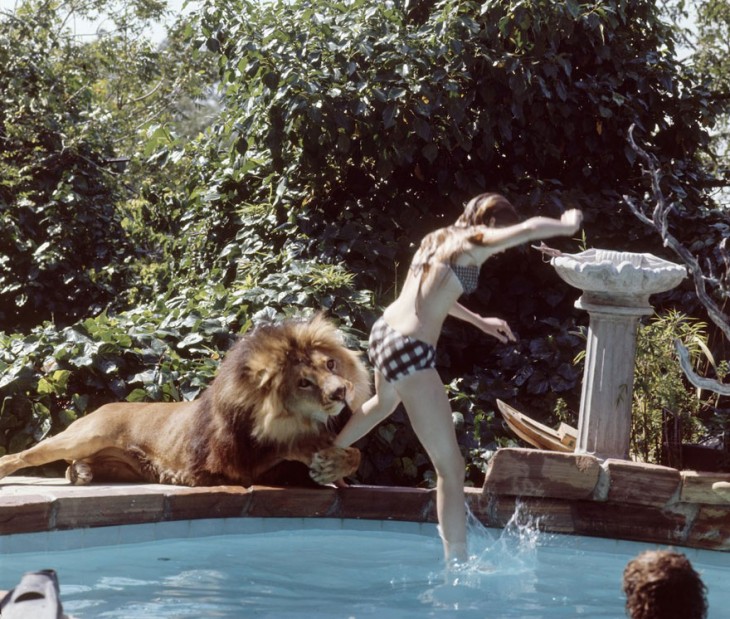 león que avienta a una mujer a la piscina