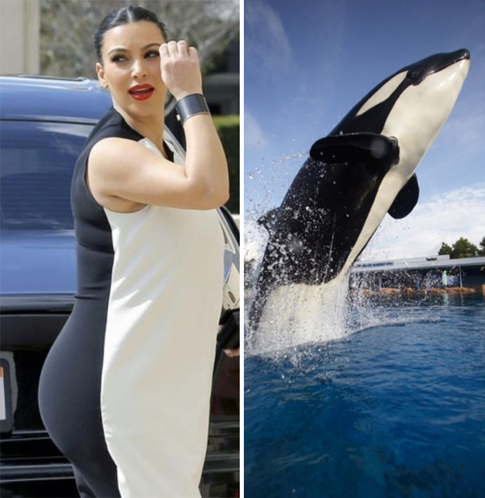 kim kardashian vestida como ballena