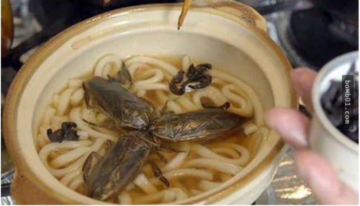 sopa de cucarachas