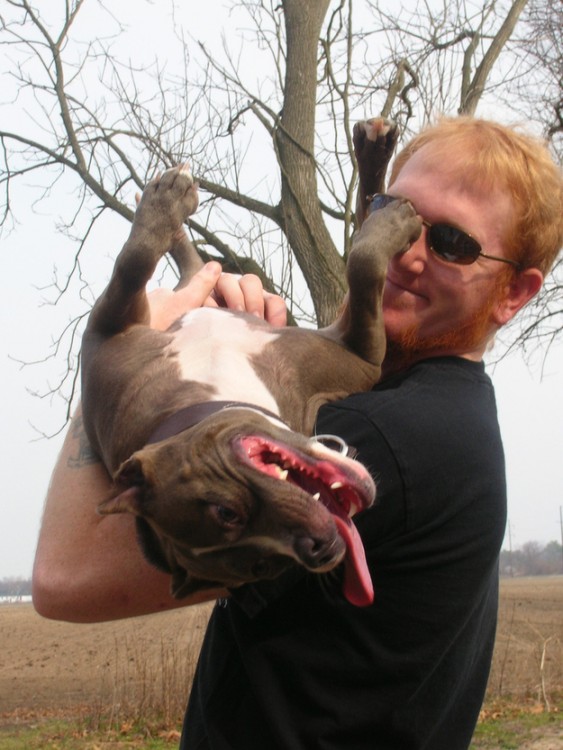 HOMBRE JUGANDO CON SU PITBULL EN LOS BRAZOS