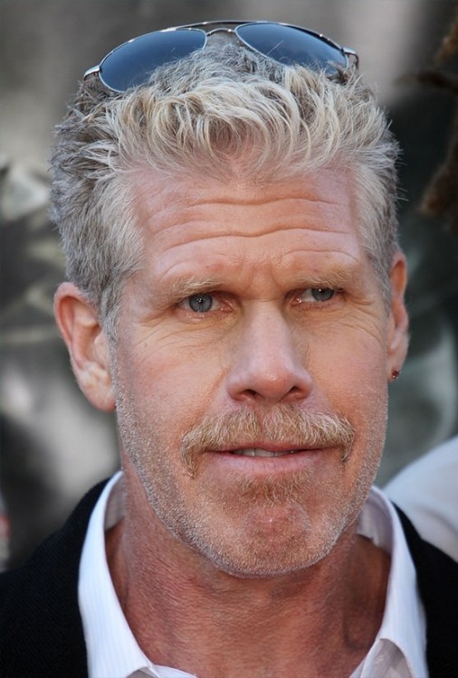 8. Ron Perlman, Hellboy II