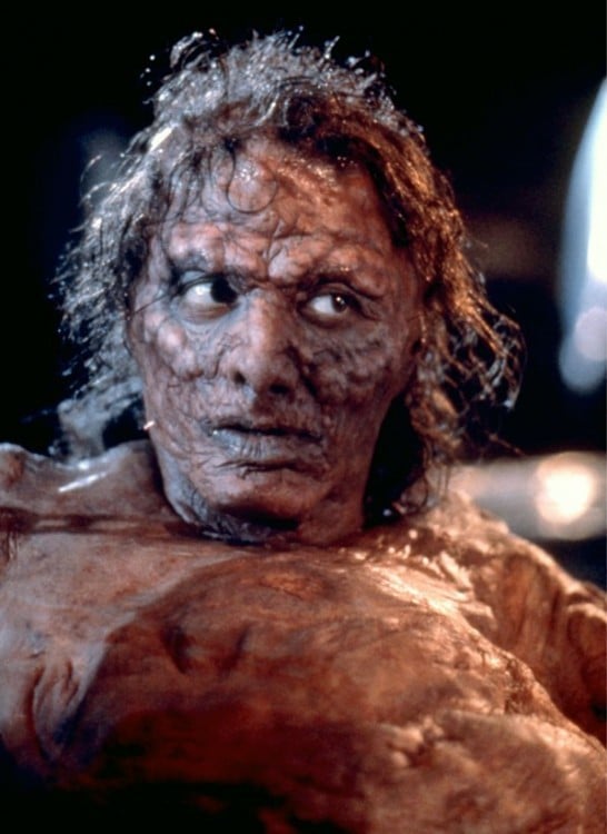 4. Jeff Goldblum, The Fly