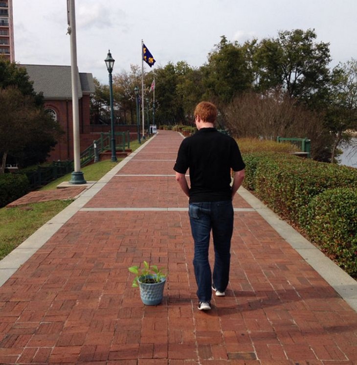 paseando a una planta