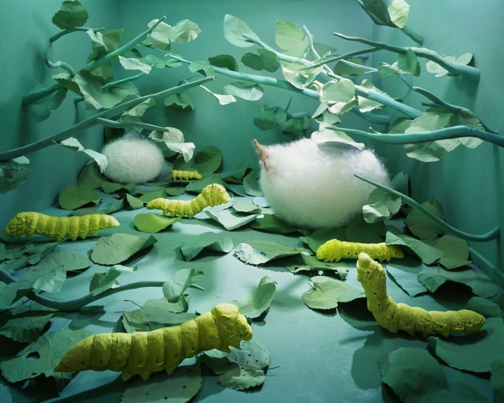 lee young crea mundo surreal en una habitacion