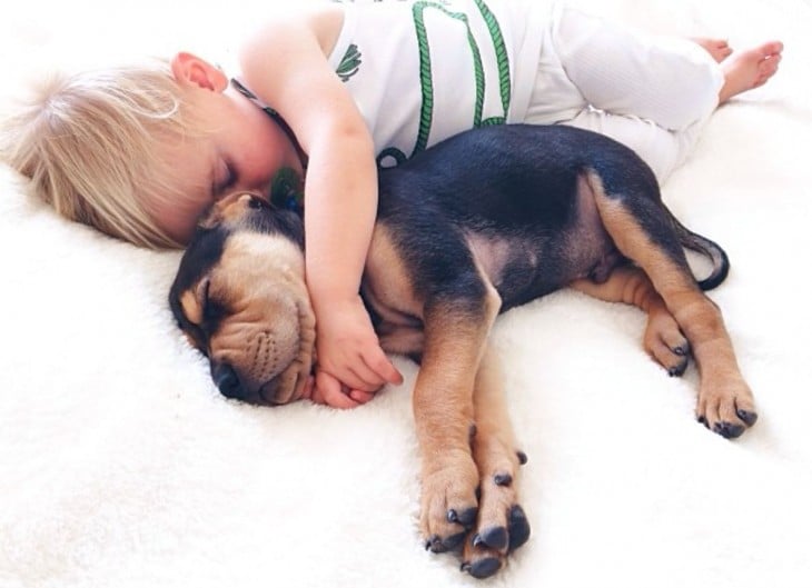 niño abrazando a su perro cuando estan dormidos