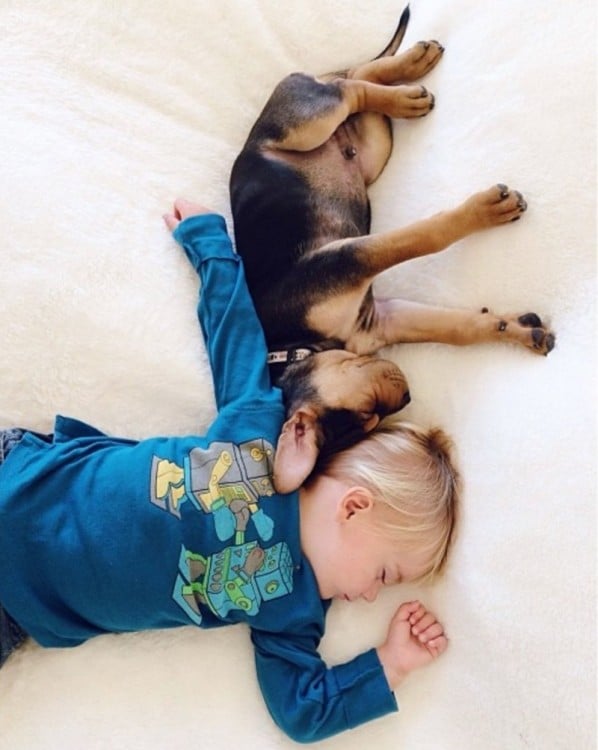 niño y perro dormidos en forma de cruz