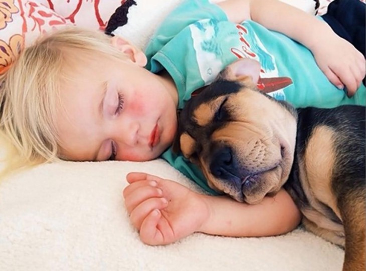 perrito y niño tomando una siesta