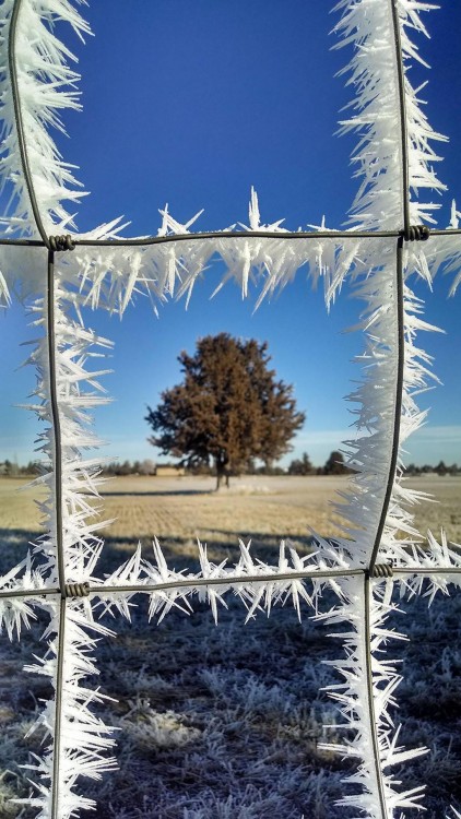 ventana congelada con hielo