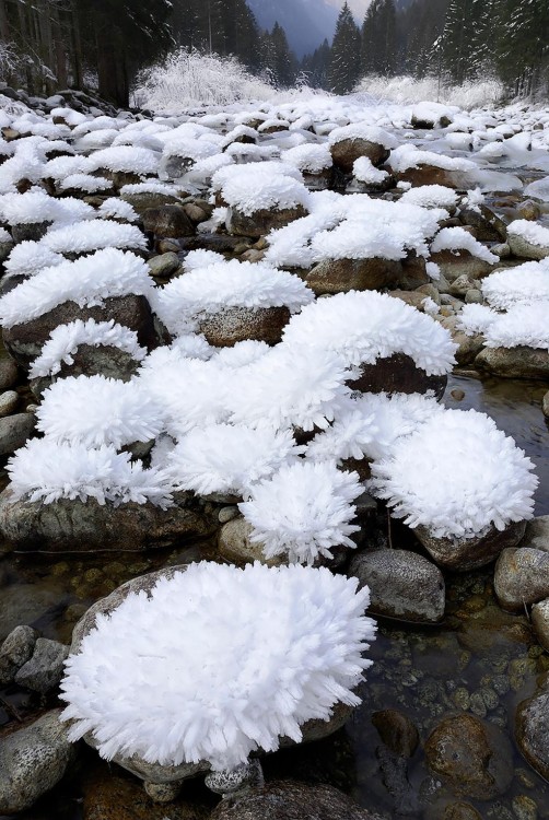 rocas con nieve