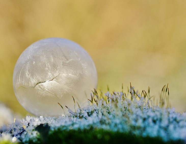 bola de hielo