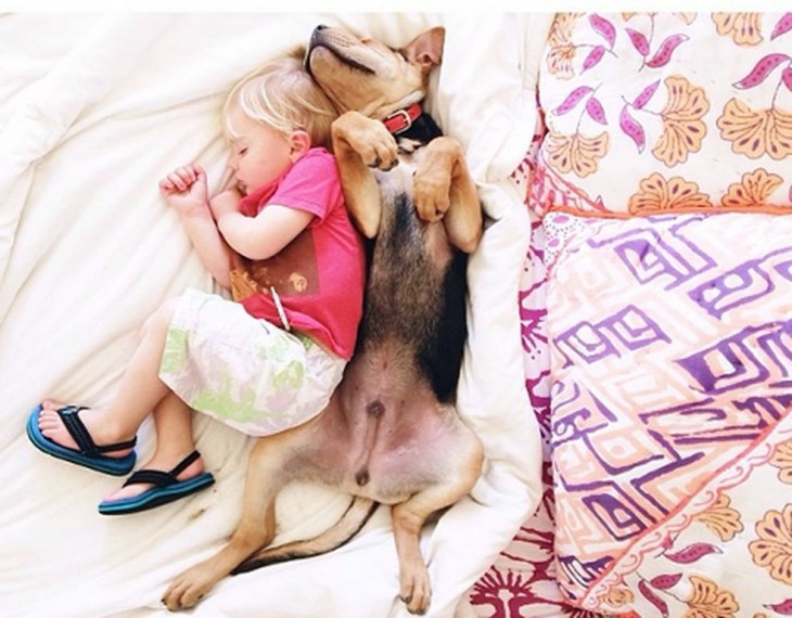 niño con playera rosa dormido junto a su perro