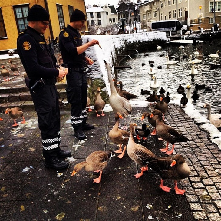 policía dándole de comer a los patos