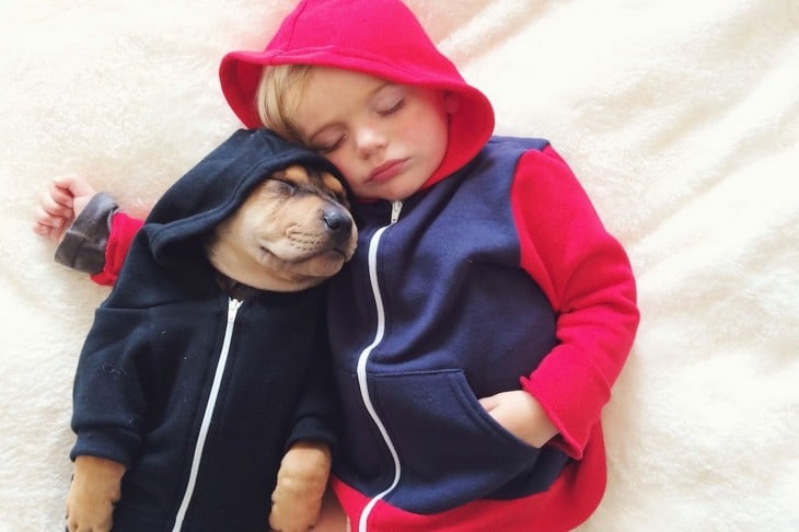 niño y perro con sudaderas dormidos