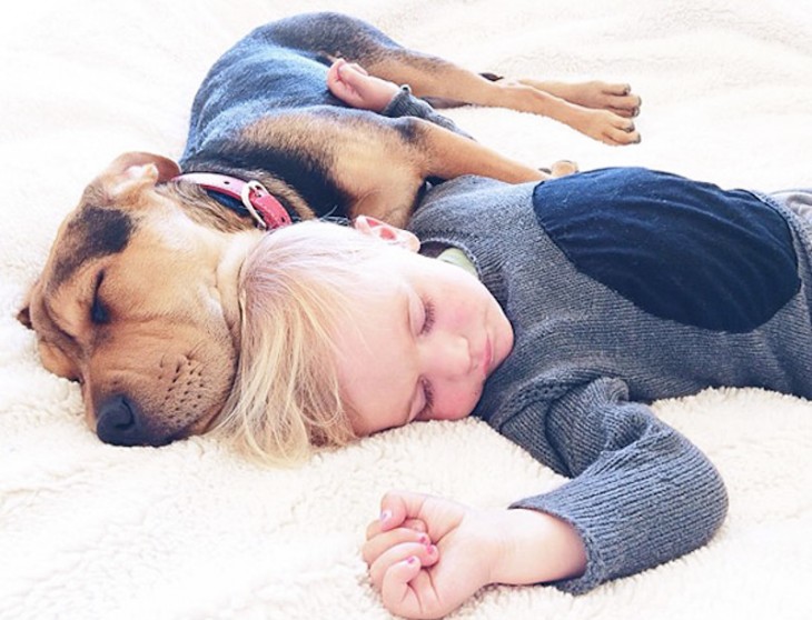 niño y perro vestido con sueter azul 