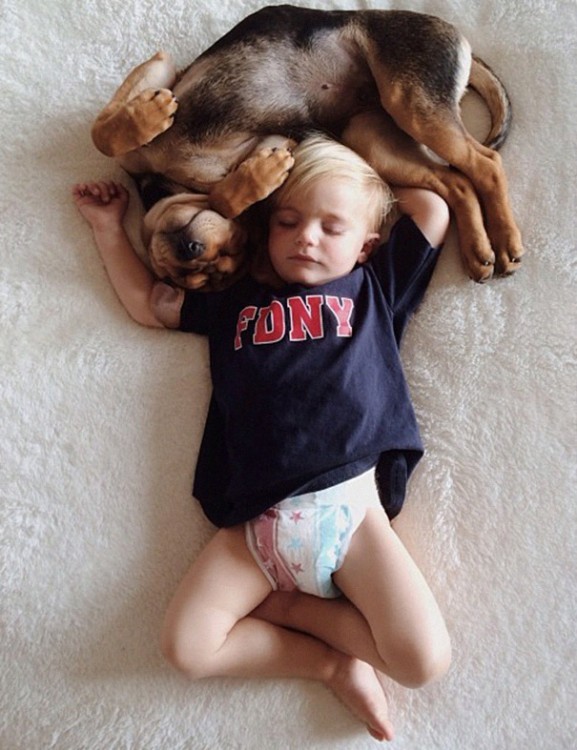 perro dormido en la cabeza de niño vestido con playera azul