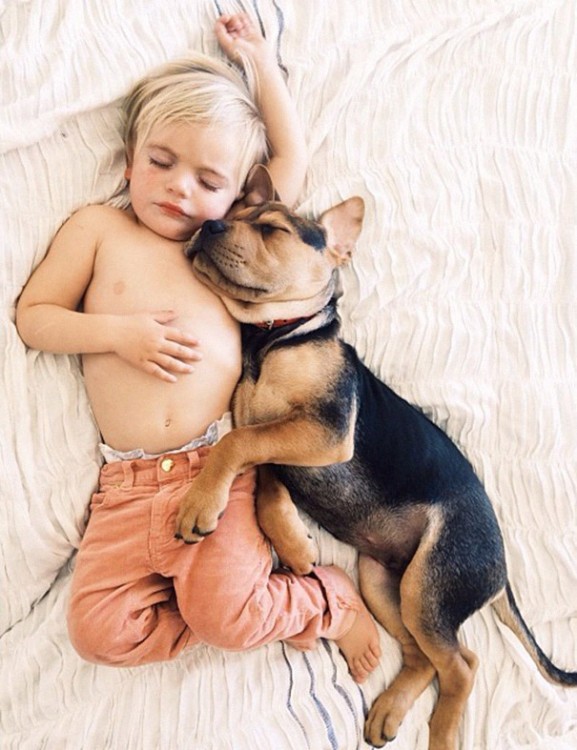 niño y perro pastor aleman dormidos y abrazados