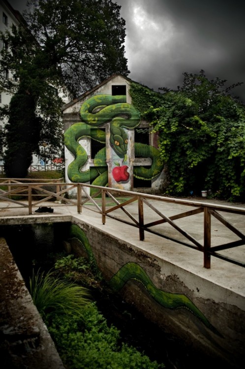 vibora que esta al rededor de una casa para comerse una manzana