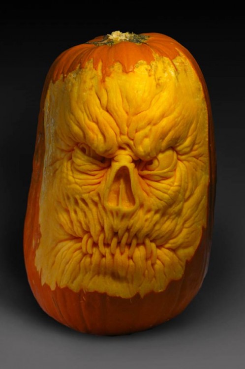 amazing-pumkin-sculptures-villafane-studio-2