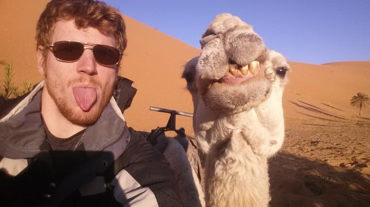 selfie con camello