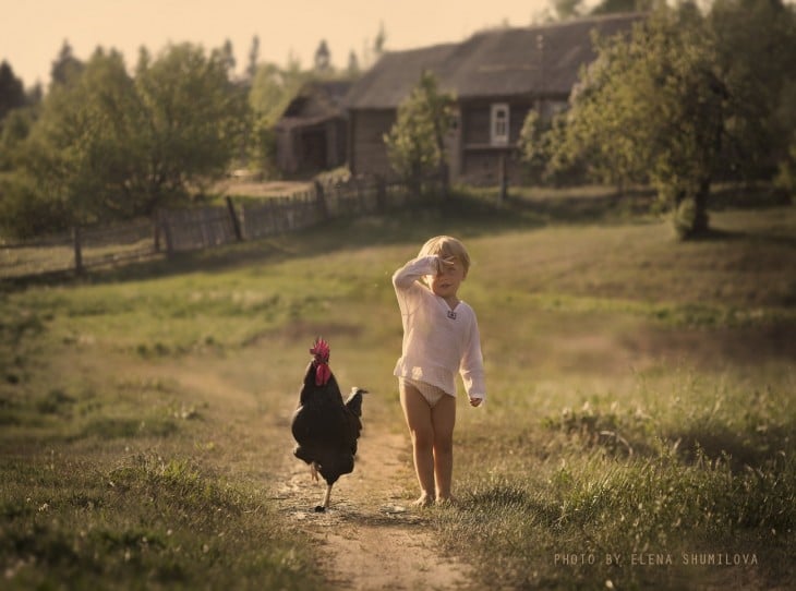 niño y gallo caminando