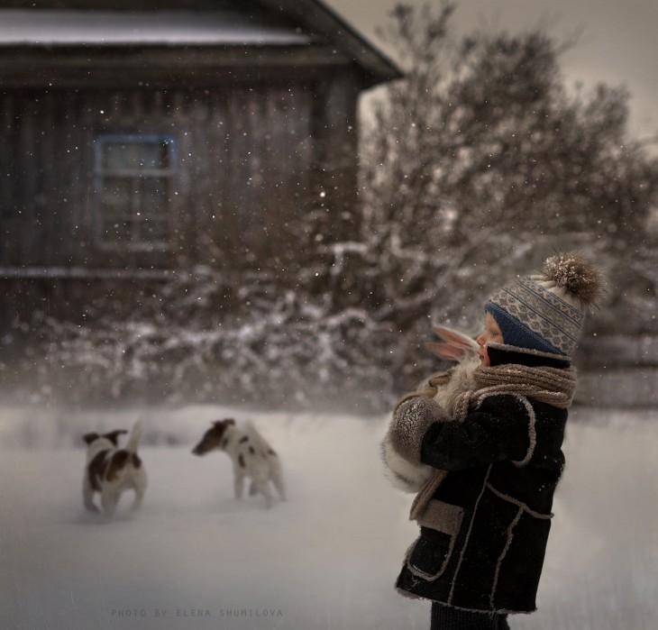 niño con perros jugando