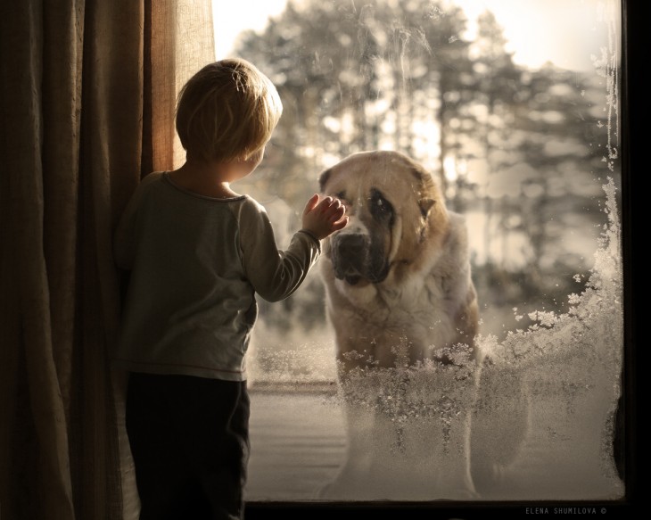 niño con perro en la ventana