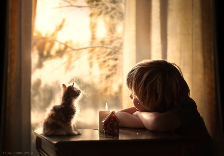 niño y gato en la ventana