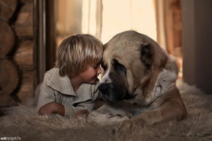 niño con perro cabeza con cabeza